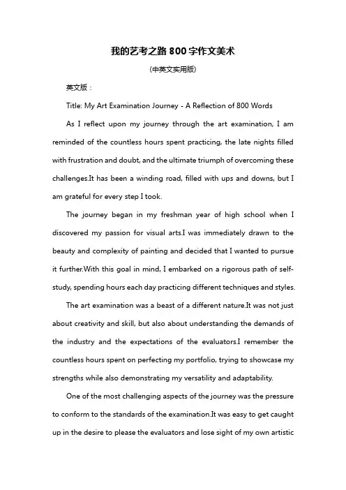 我的艺考之路800字作文美术