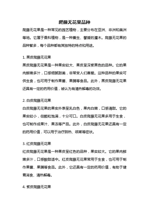爬藤无花果品种