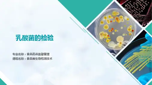 乳酸菌的检验(9-10)