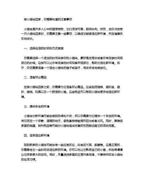 接小猫咪回新家注意事项
