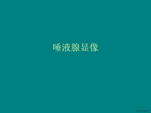 唾液腺显像PPT课件