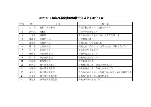 鞍湖初中20092010学年度领导班子分工表