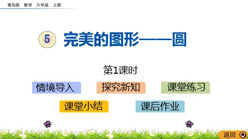 青岛版数学六年级上册 第五单元完美的图形 ——圆
