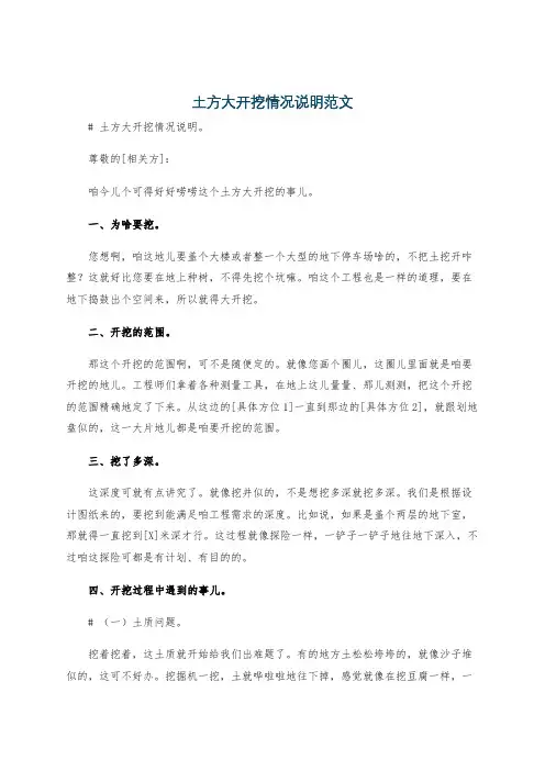 土方大开挖情况说明范文