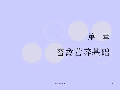 畜禽营养与饲料 经典完整ppt课件
