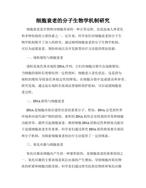 细胞衰老的分子生物学机制研究