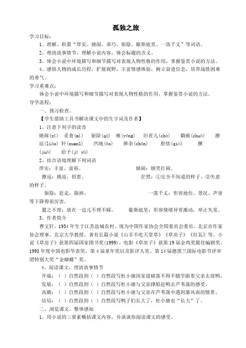 孤独之旅导学案