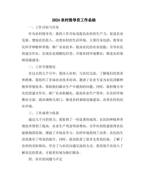 2024农村指导员工作总结