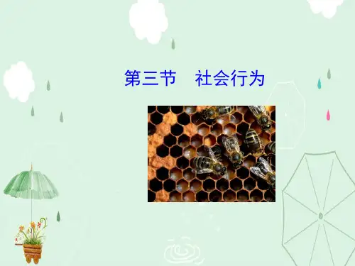 社会行为PPT课件9 人教版