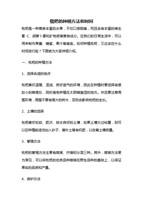 枇杷的种植方法和时间