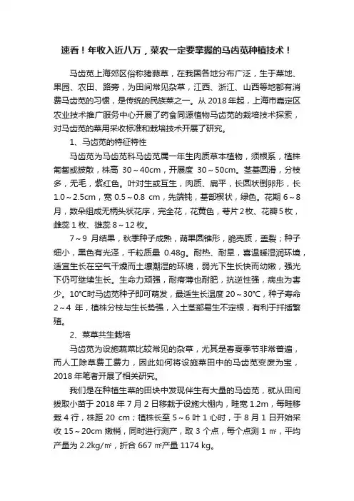 速看！年收入近八万，菜农一定要掌握的马齿苋种植技术！