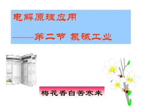 氯碱工业ppt 人教课标版