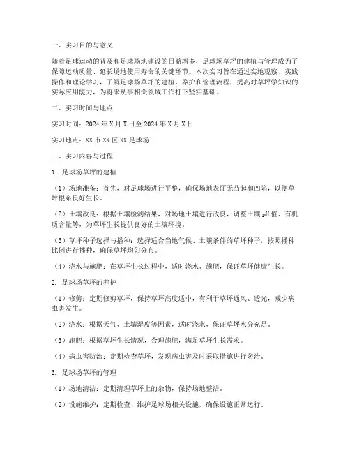 足球场草坪实习报告