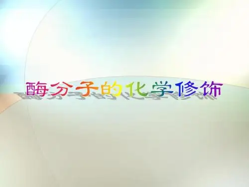 酶分子的化学修饰