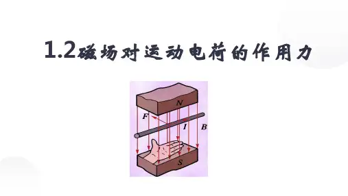 1.2磁场对运动电荷的作用力  课件-高二下学期物理人教版(2019)选择性必修第二册