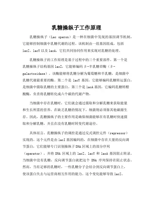 乳糖操纵子工作原理