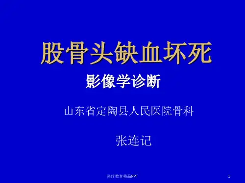 编辑股骨头缺血坏死影像学诊断ppt