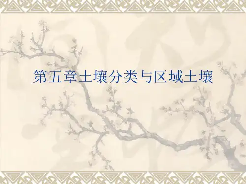 第五章土壤分类与区域土壤.ppt