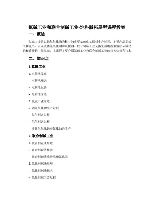 氯碱工业和联合制碱工业-沪科版拓展型课程教案