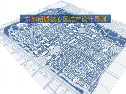 (完整版)宁波东部新城核心区城市设计导则