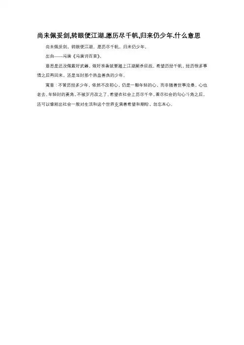 尚未佩妥剑,转眼便江湖.愿历尽千帆,归来仍少年.什么意思