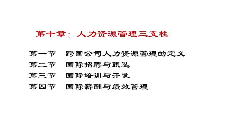 人力资源管理第10章-人力资源管理三支柱
