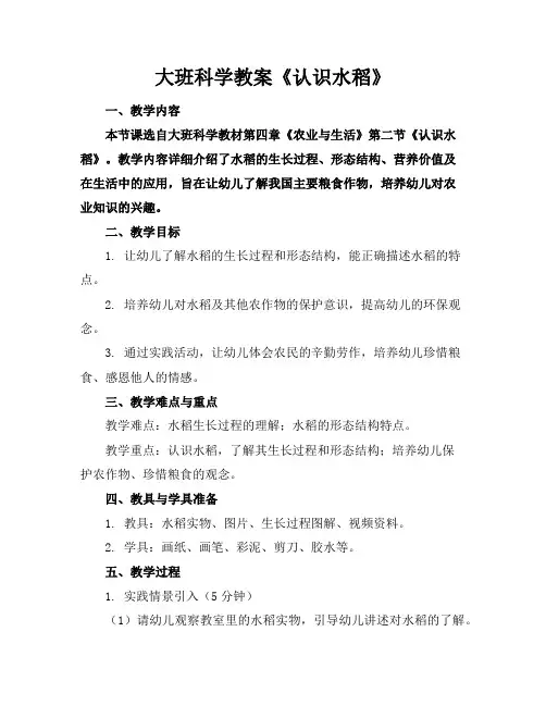 大班科学教案《认识水稻》