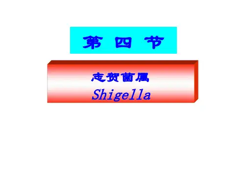 志贺菌属