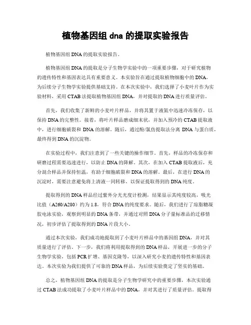 植物基因组dna的提取实验报告