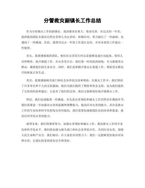 分管救灾副镇长工作总结