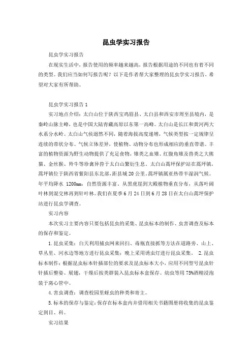 昆虫学实习报告