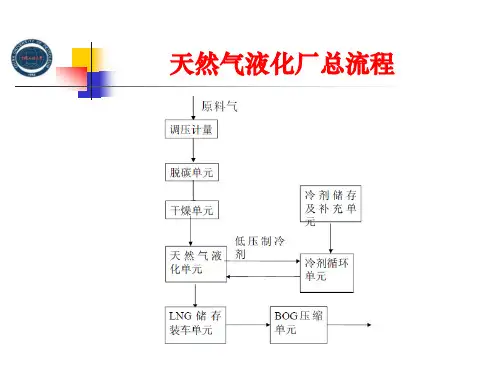 天然气液化厂流程概述