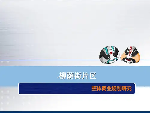 成都温江文庙柳荫街片区项目整体商业规划研究-116p-前期策划