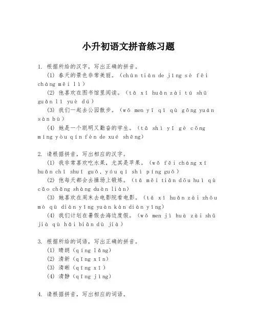 小升初语文拼音练习题