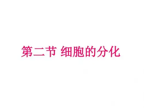 人教版高中生物必修一第六章第2节《细胞的分化》优秀课件(共34张PPT)
