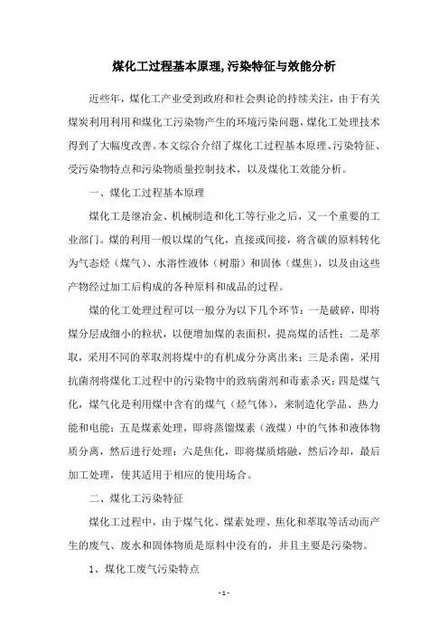 煤化工过程基本原理,污染特征与效能分析