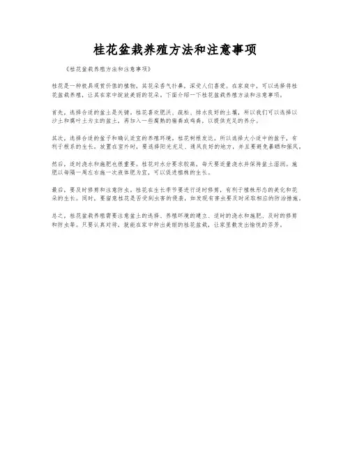 桂花盆栽养殖方法和注意事项