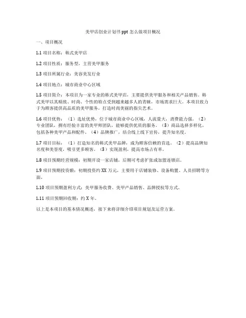 美甲店创业计划书ppt怎么做项目概况