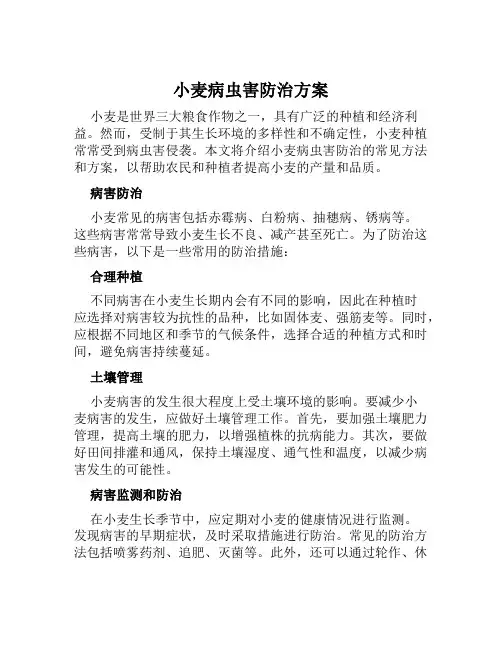 小麦病虫害防治方案范文