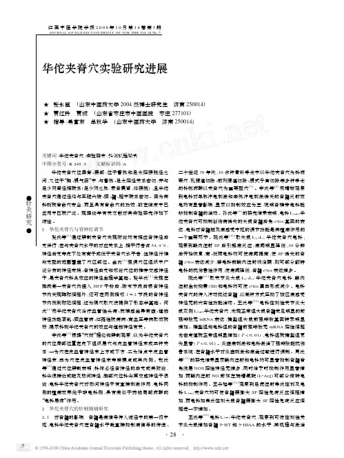 华佗夹脊穴实验研究进展