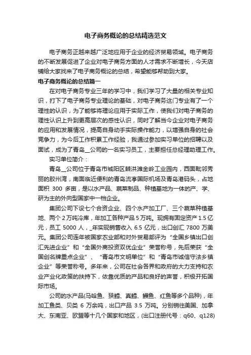 电子商务概论的总结精选范文