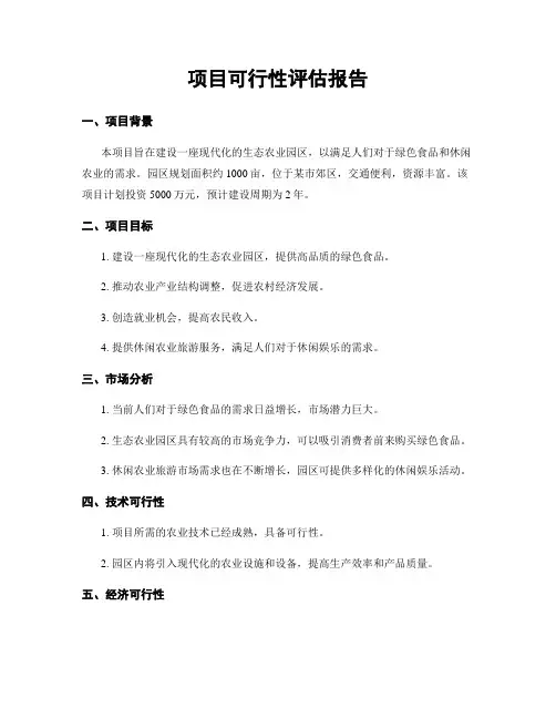 项目可行性评估报告