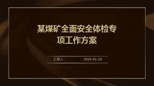 某煤矿全面安全体检专项工作方案