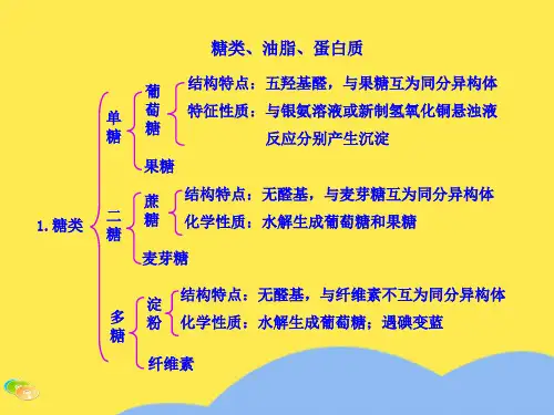 糖类、油脂、蛋白质优选PPT文档