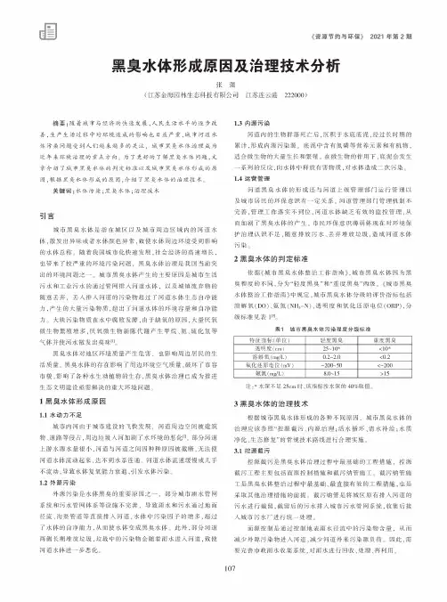 黑臭水体形成原因及治理技术分析