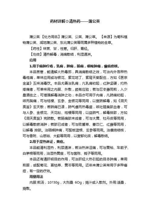药材详解⊙清热药——蒲公英