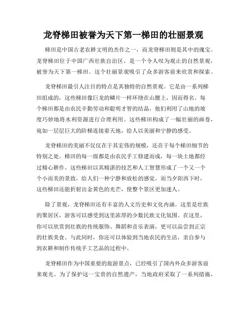龙脊梯田被誉为天下第一梯田的壮丽景观