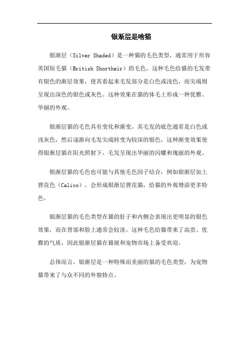 银渐层是啥猫