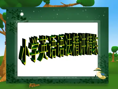 小学英语语法精讲精练课件PPT