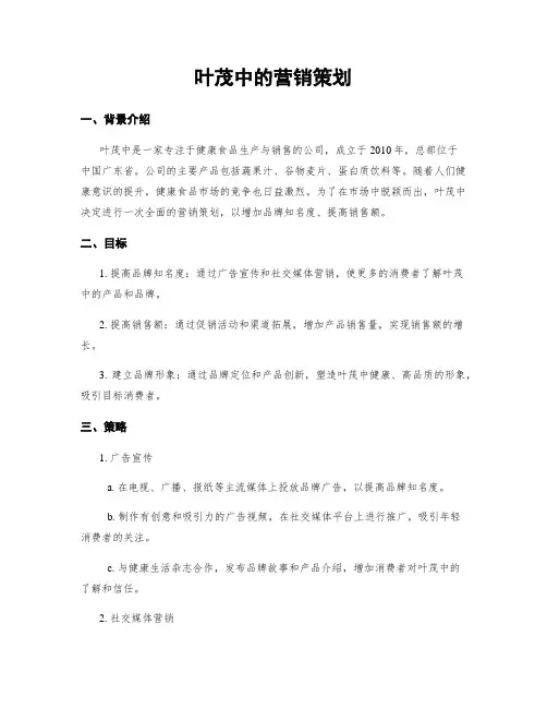叶茂中的营销策划